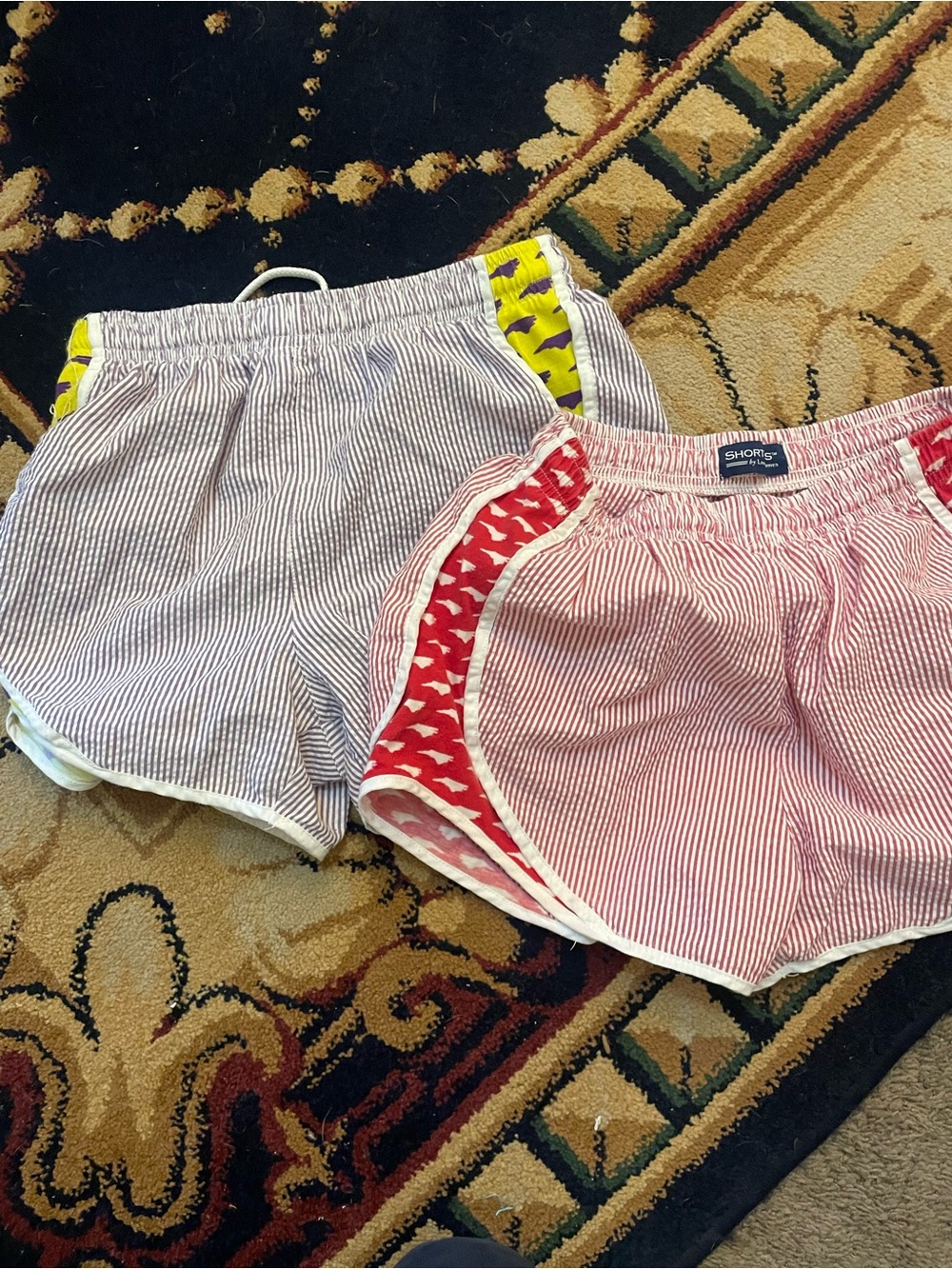 Lot of 2 Lauren James “Shorties” Seersucker Running Shorts North Carolina